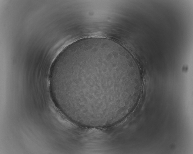 X0000111590290200908061356