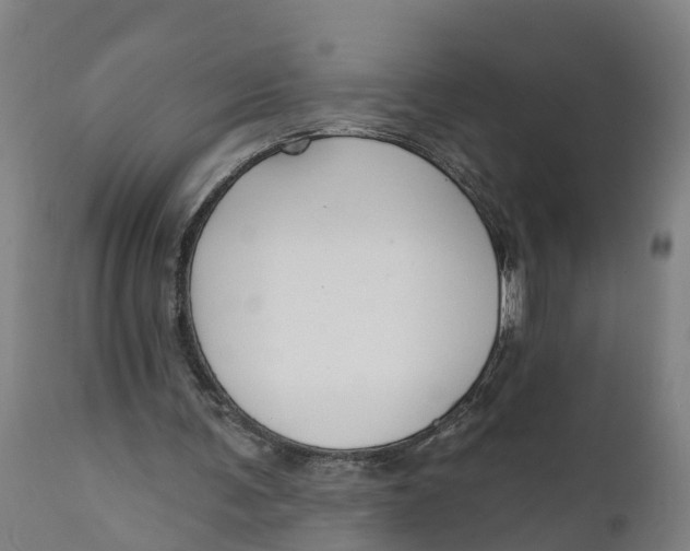 X0000111590291200908061356