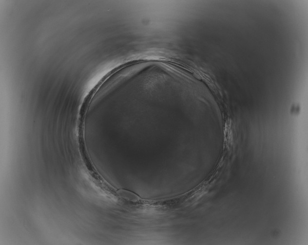 X0000111590292200908061356