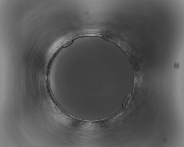 X0000111590293200908061356