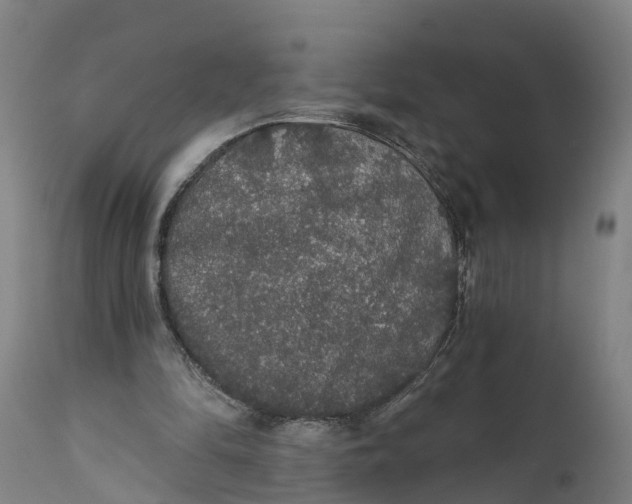 X0000111590294200908061356