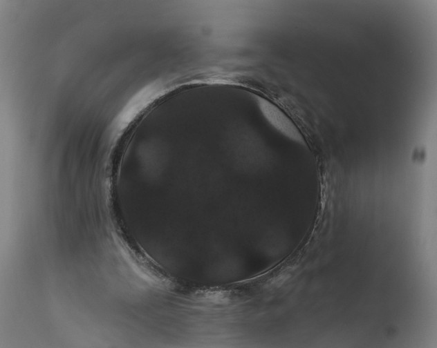 X0000111590295200908061356