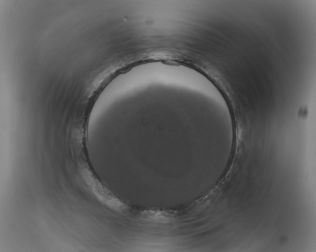 X0000111590297200908061356