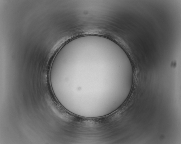 X0000111590298200908061356