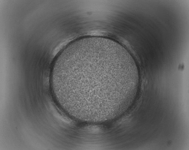 X0000111590299200908061356