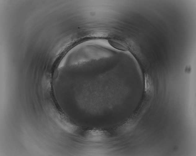 X0000111590300200908061356