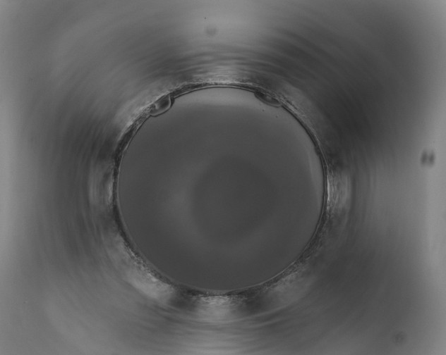 X0000111590301200908061356