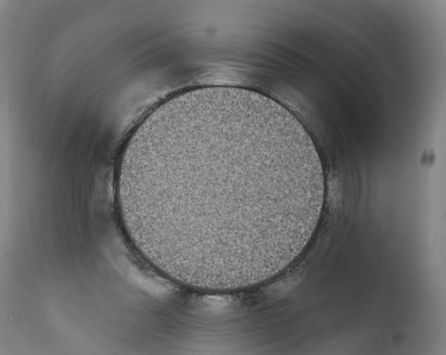 X0000111590302200908061356