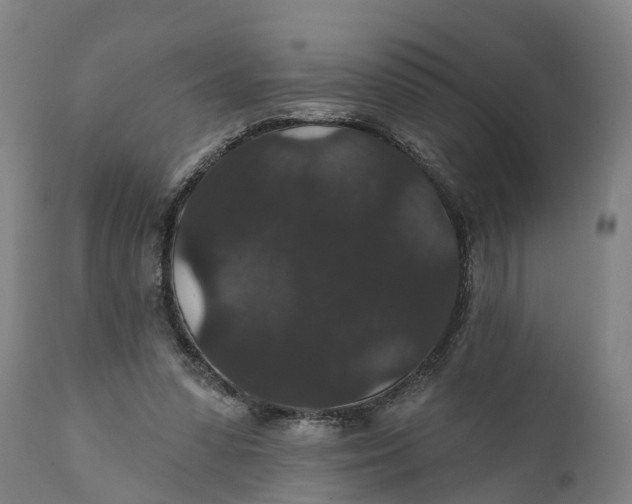 X0000111590303200908061356