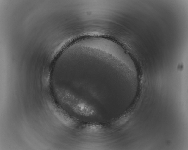 X0000111590304200908061356