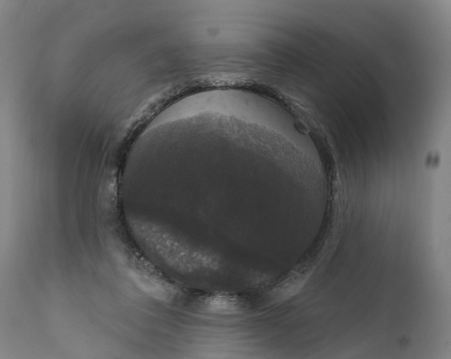 X0000111590308200908061356