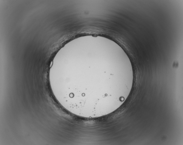 X0000111590309200908061356