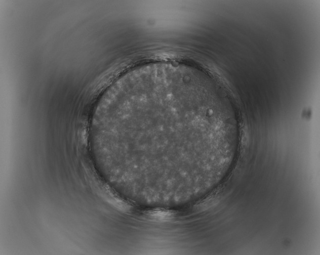 X0000111590313200908061356