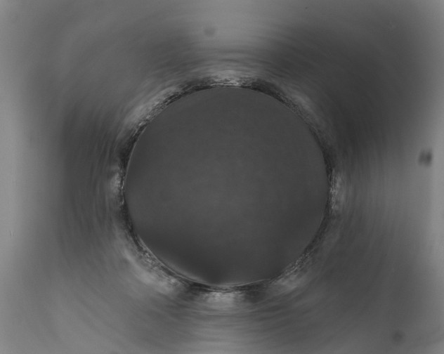 X0000111590314200908061356