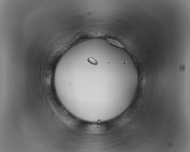 X0000111590315200908061356