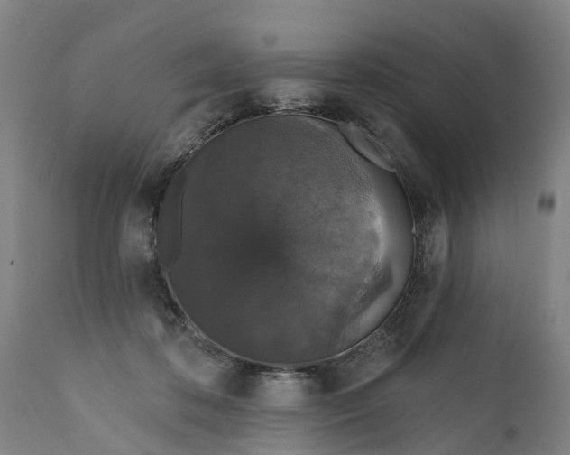 X0000111590316200908061356