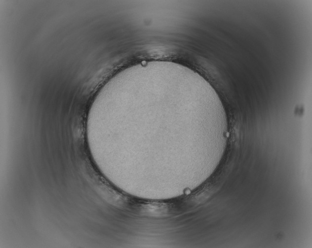 X0000111590317200908061356