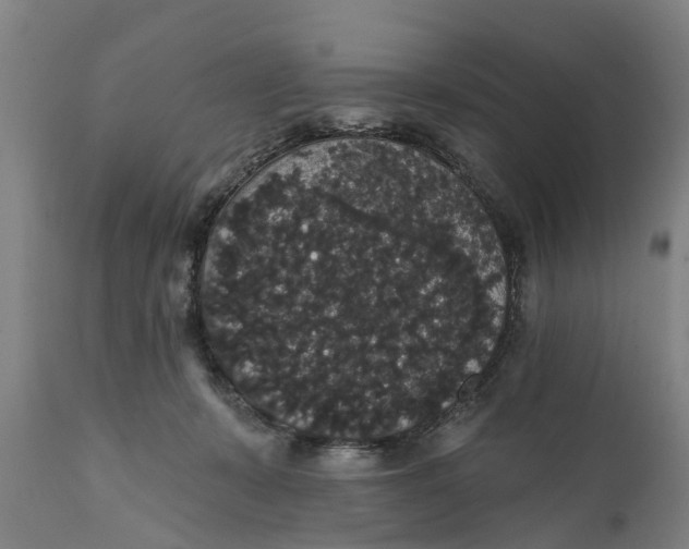 X0000111590319200908061356