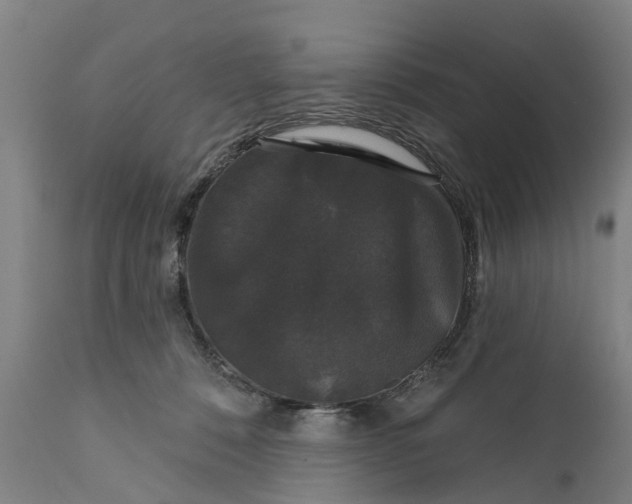 X0000111590320200908061356