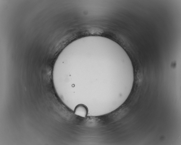 X0000111590321200908061356