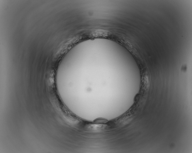 X0000111590323200908061356