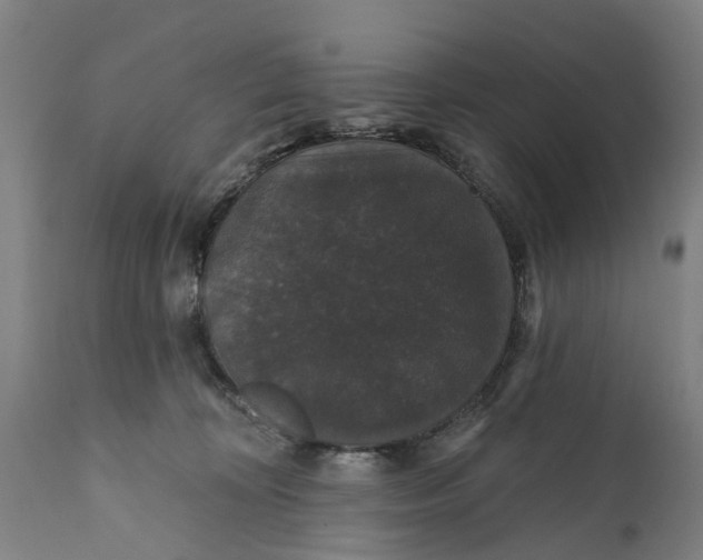 X0000111590324200908061356