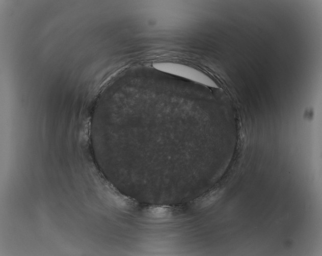 X0000111590325200908061356