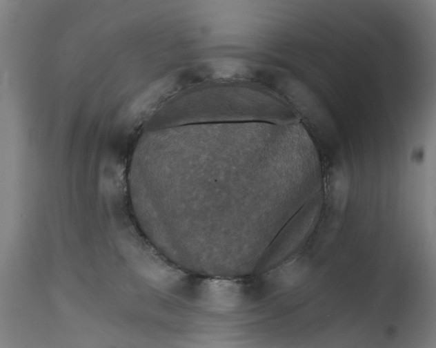 X0000111590327200908061356