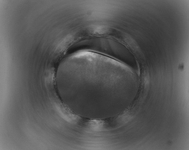 X0000111590328200908061356