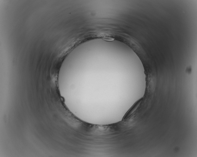 X0000111590329200908061356