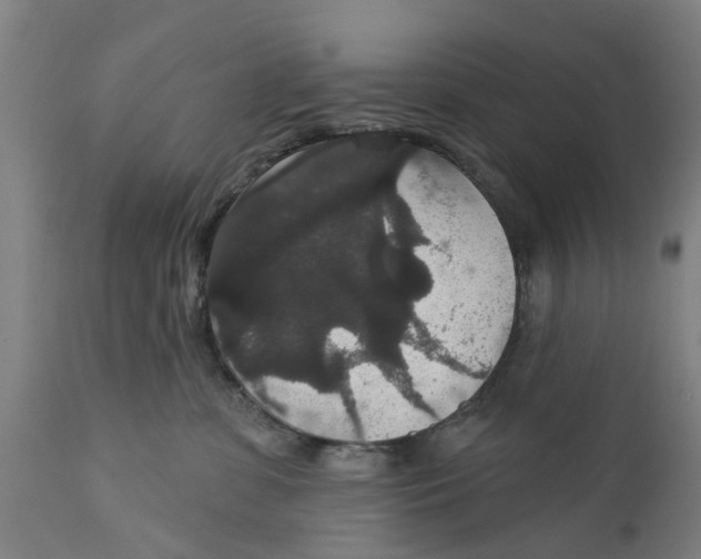 X0000111590331200908061355