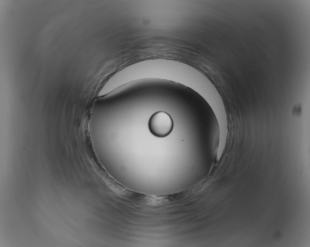 X0000111590333200908061355