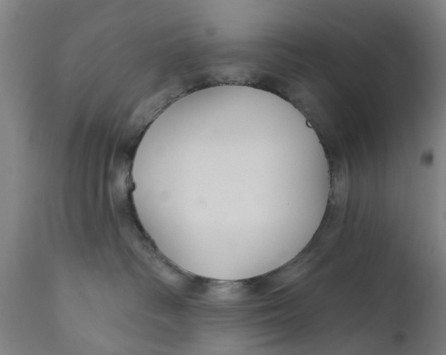 X0000111590334200908061355