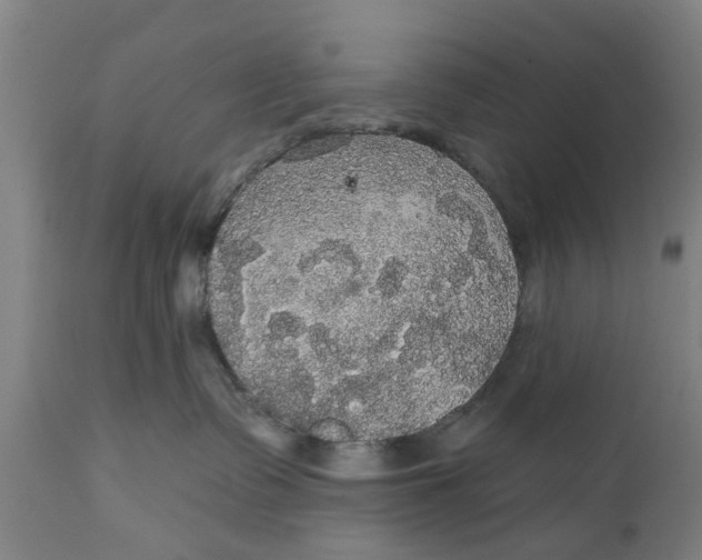 X0000111590335200908061355