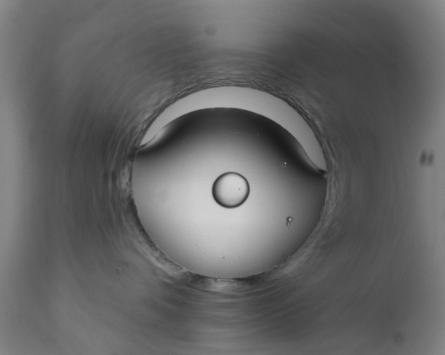 X0000111590336200908061355