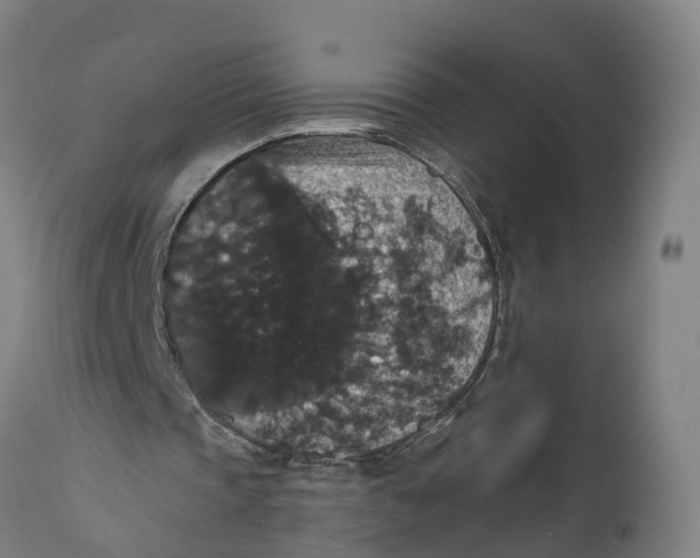 X0000111590337200908061355