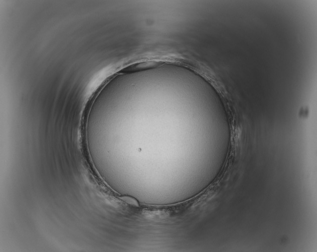 X0000111590340200908061355