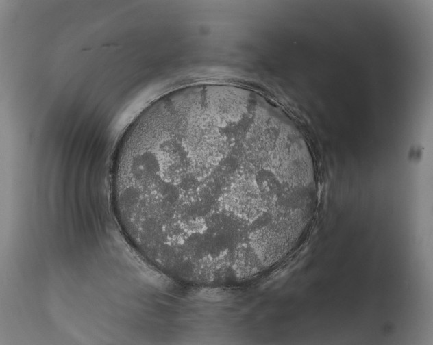 X0000111590341200908061355