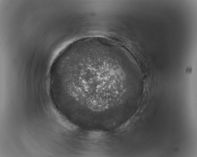 X0000111590342200908061355