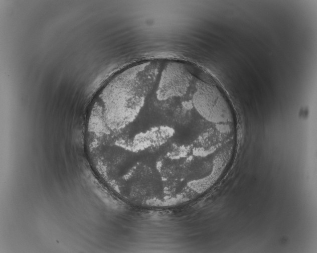 X0000111590345200908061355