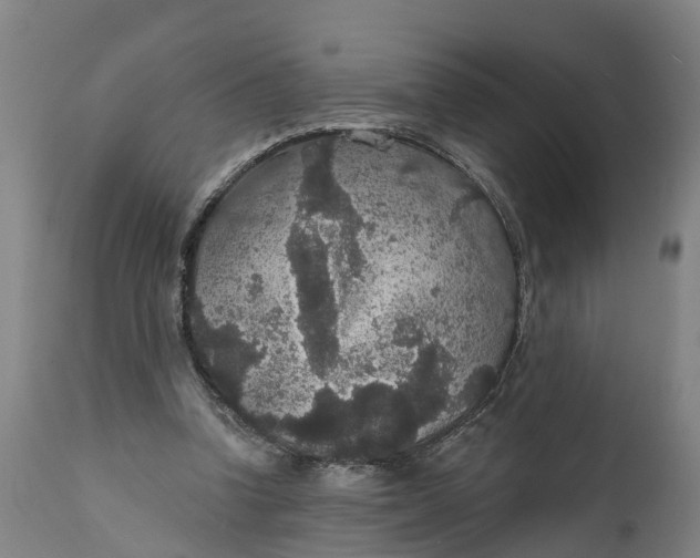 X0000111590346200908061355