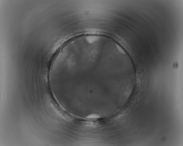 X0000111590347200908061355