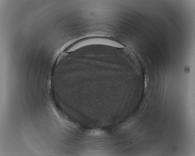 X0000111590348200908061355