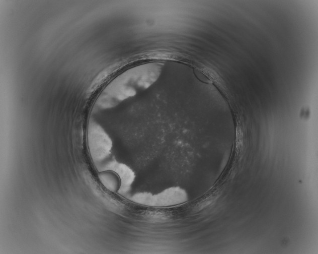 X0000111590349200908061355