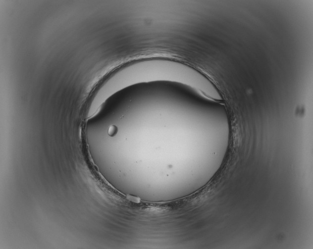 X0000111590350200908061355