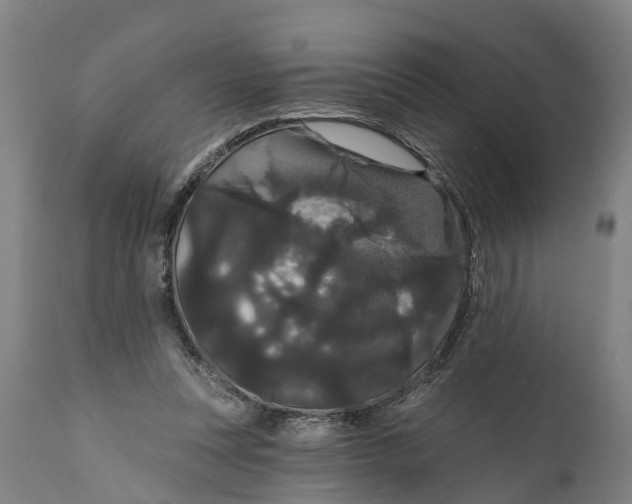 X0000111590351200908061355