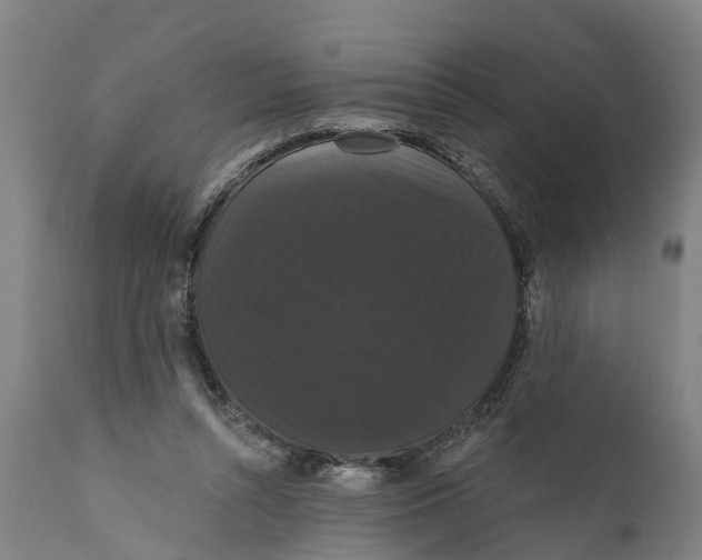 X0000111590352200908061355