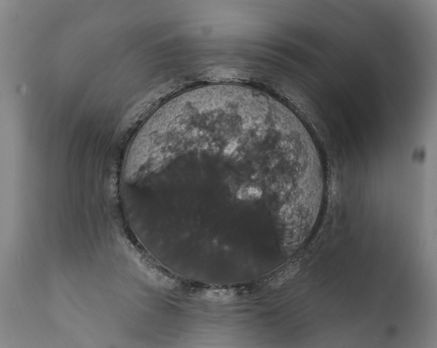 X0000111590353200908061355