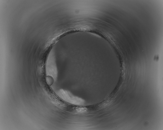 X0000111590355200908061355