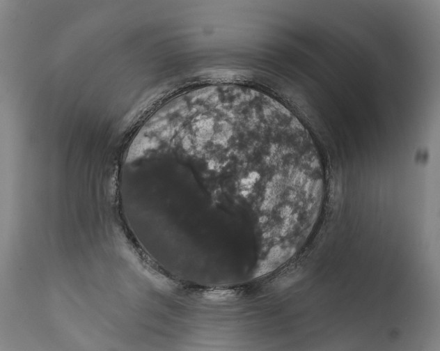 X0000111590357200908061355